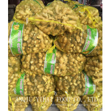 Good Quality Fresh Ginger Mesh Bag 150g and up